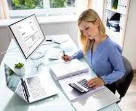 Online Course Certified Accounts Auditor