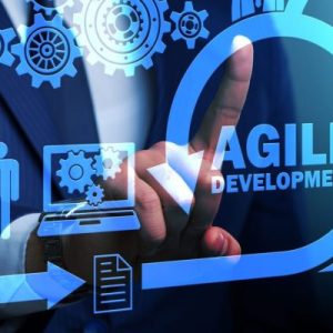 Online Course Certified Agile Project Manager