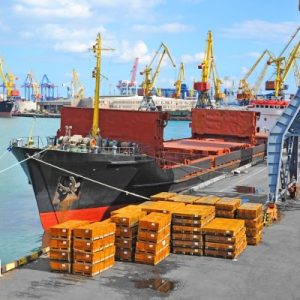 Online Course Certified Break-Bulk Cargo Manager