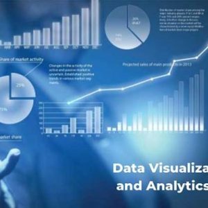 Online Course Certified Data Visualization Specialist