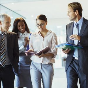 Online Course Certified Effective Business Executive