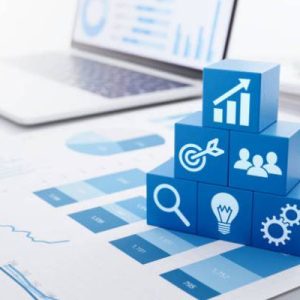 Online Course Certified Enterprise Performance Manager