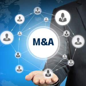Online Course Certified Mergers & Acquisitions (M&A) Project Manager