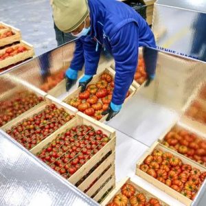 Online Course Certified Perishable Perishables Transport Specialist