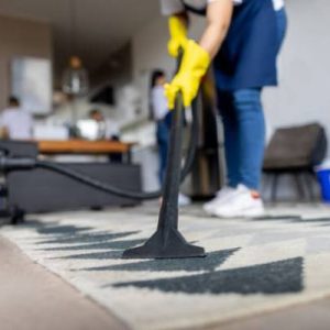 Online Course Certified Public Area Cleaner