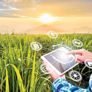 Online Course Certified Rural Project Manager