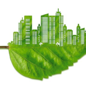 Online Course Certified Sustainable Construction Manager (Green Buildings)