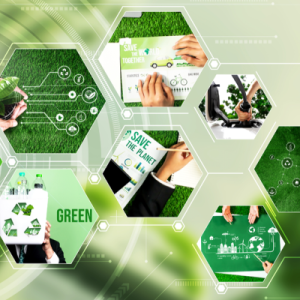 Online Course Certified Sustainable Supply Chain Manager