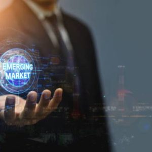 Online Course Certified Emerging Markets Business Manager