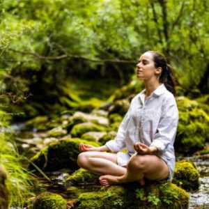 Online Course Certified Nature/Forest Meditation Facilitator